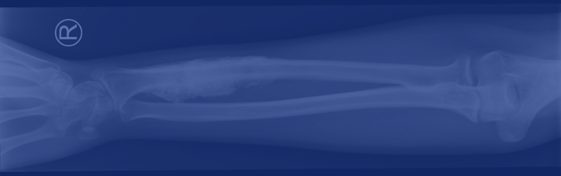 Title Image